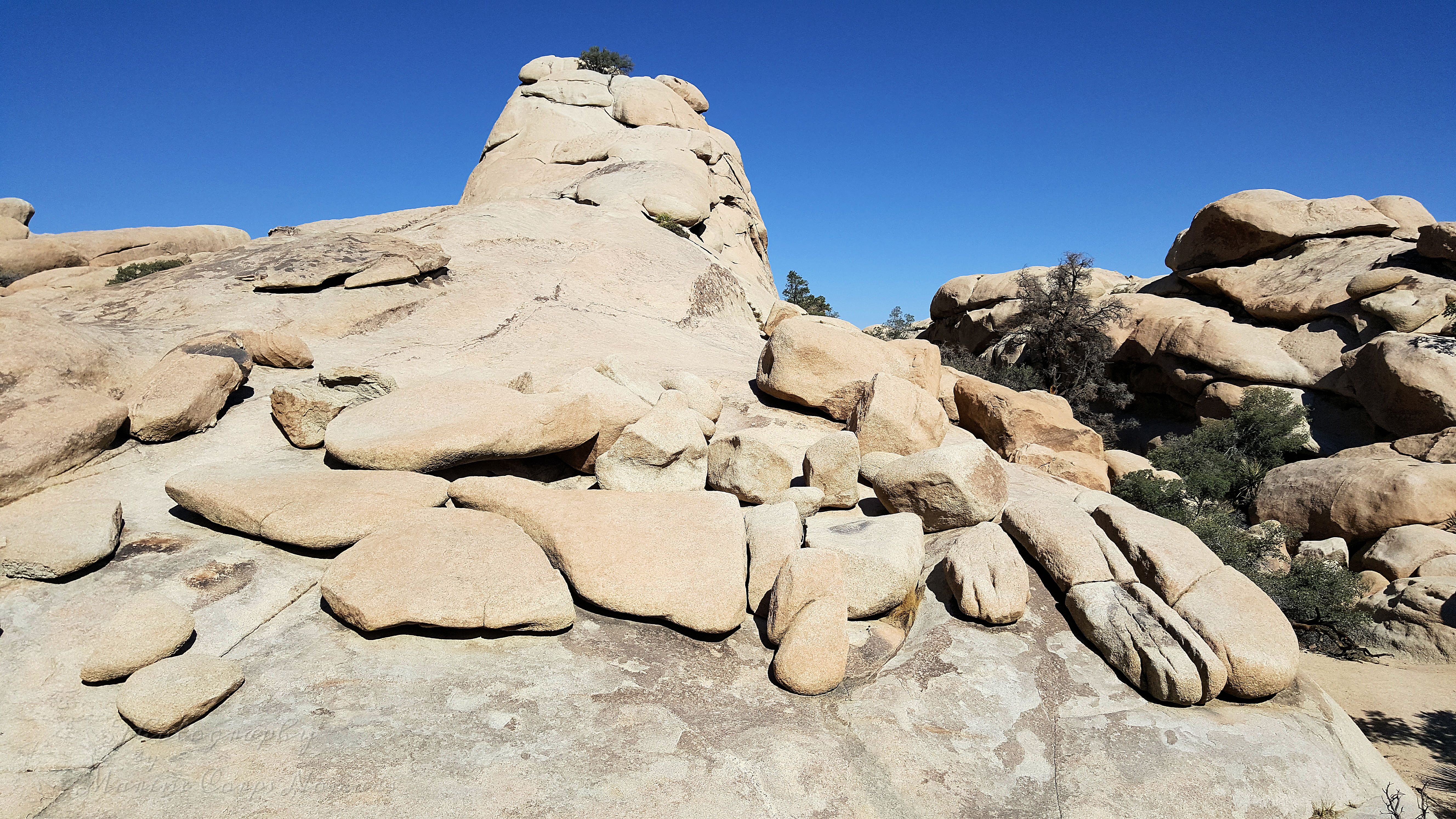 Rock formations in Joshua Tree National Park