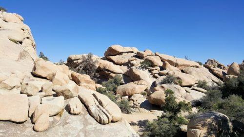 Rock formations in Joshua Tree National Park