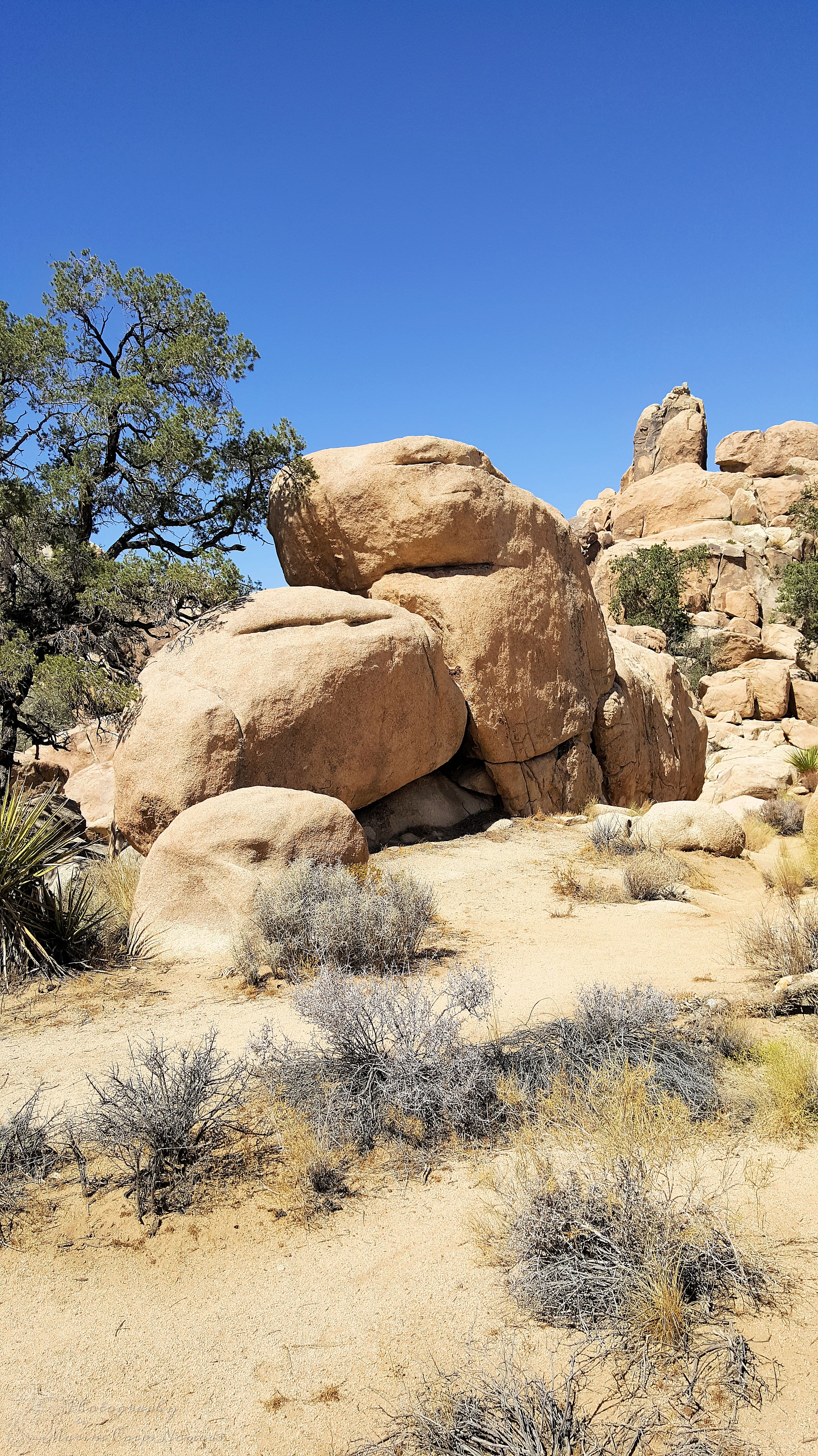 Rock formations in Joshua Tree National Park