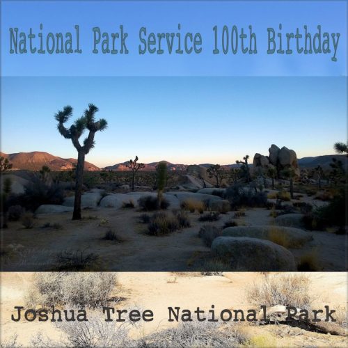 Celebrating the National Park Service's 100th Birthday at Joshua Tree National Park