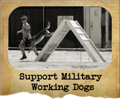 Ways to support military working dogs