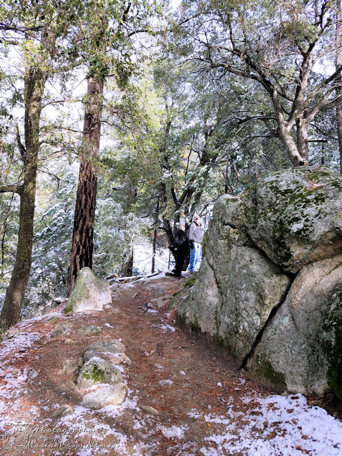 Ernie Maxwell Scenic Trail - snowy family hike