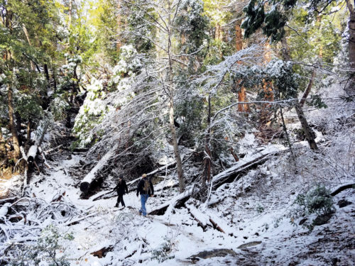 Snowy Hike on Ernie Maxwell Scenic Trail
