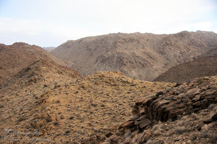 49 Palms Oasis Trail, Joshua Tree National Park, CA