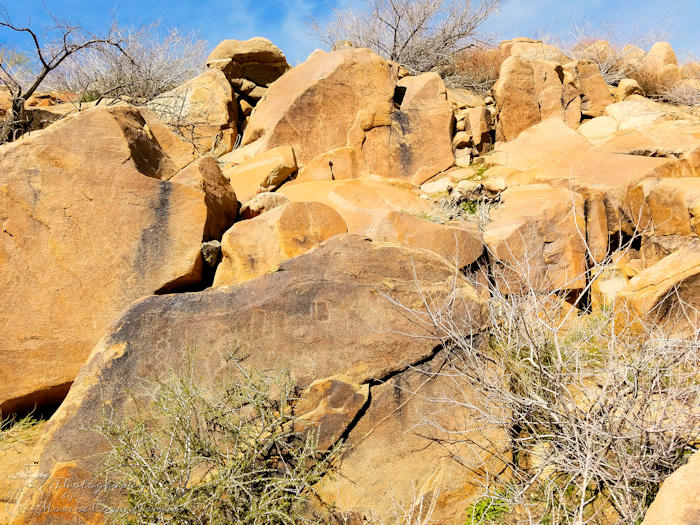 Pioneertown Mountains Preserve Indian Loop Trail Hike Petroglyphs