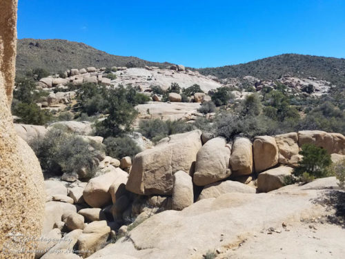 Joshua Tree National Park - Wall Street Mill Trail Hike - Marine Corps ...