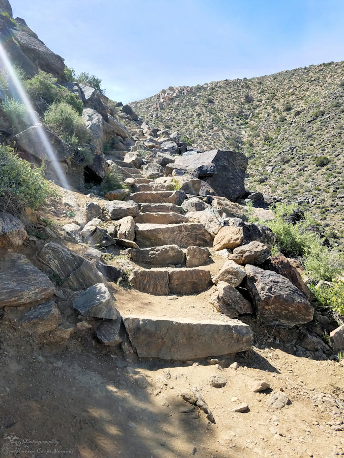 Ryan Mountain Trail Hike