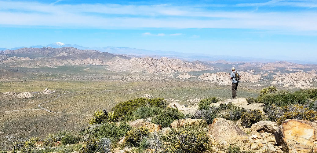 Ryan Mountain Trail Hike