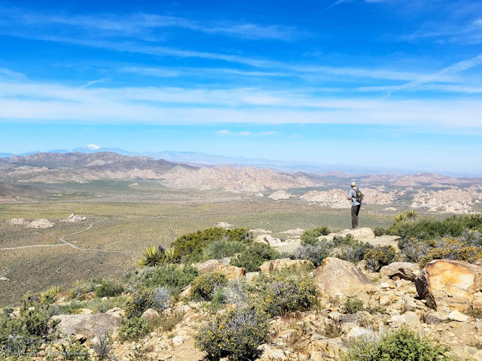 Ryan Mountain Trail Hike Summit